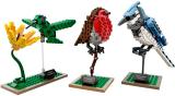 LEGO 21301